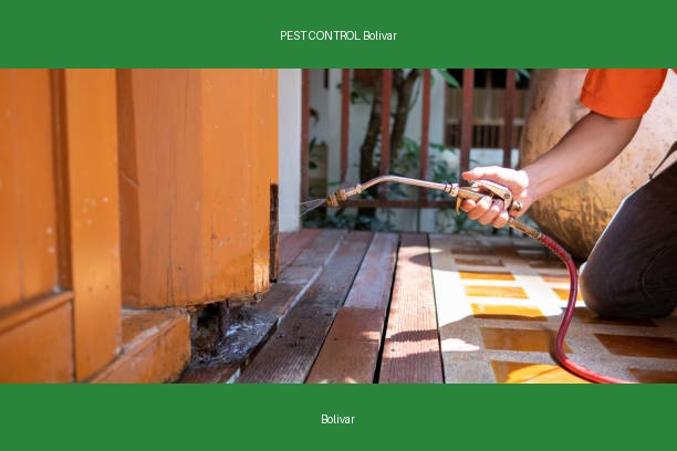 PEST CONTROL Bolivar
